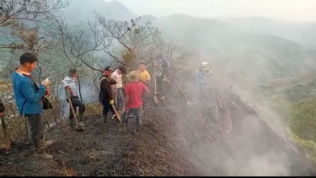 Incendio forestal consume 50 hectáreas de bosque en la Sierra Nevada