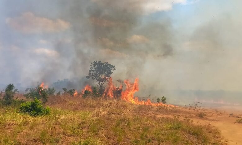 Incendio forestal en la vereda La Curama de Pore