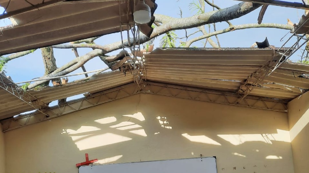 Mega árbol cayó encima de salón en colegio de Lebrija