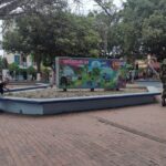 Murió odontóloga bolivarense tras atentando en Saravena, Arauca