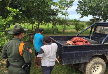Operación Tauro desmantela banda dedicada al abigeato en Arauca
