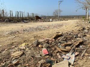 Trocha de Sinaí: bandas, terror y cadáveres