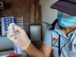 Administración municipal brinda herramientas para hacerle frente al mosquito transmisor del Dengue