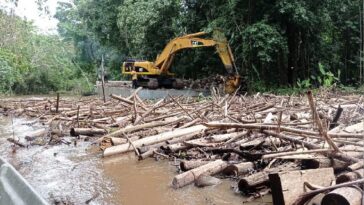 Alcalde municipal de Riosucio – Chocó, muestra avances en los trabajos de destronque de las cuencas de los Ríos: Trubandó, Chintadó y Quiparadó.