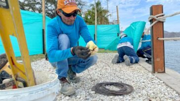 Alcaldía inició mantenimiento preventivo al colector pluvial del Camellón de la Bahía
