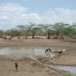 Buscando agua en La Guajira.