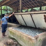 Caballos en el Parque Tayrona quedarán prohibidos: director Parques Nacionales