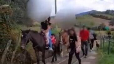 Cojeando y cansados: denuncian que caballos de turismo en Cabrera estarían enfermos y aún así los usan