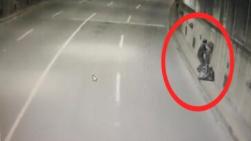 "Como alguien que no quiere la cosa" y mira;  Otro robo del cableado en el túnel del Mundial quedó grabado en video