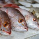 Conozca las recomendaciones que hace la Administración departamental, al momento de comprar pescado en esta semana santa