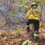 Doce hectáreas fueron consumidas por incendio forestal en Bonda