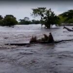 El daño del dique en Sitio Nuevo es el doble de Vuelta Perico