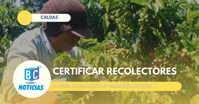 En Colombia se certificará a los recolectores de café de cosecha manual y asistida