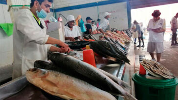 En Valledupar todavía es accesible consumir pescado