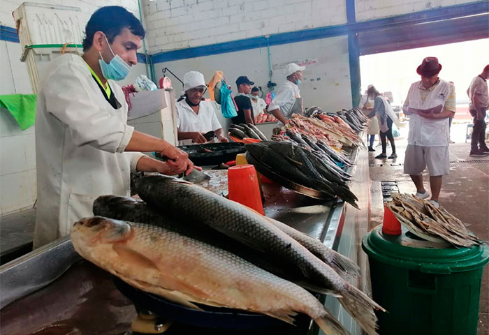 En Valledupar todavía es accesible consumir pescado