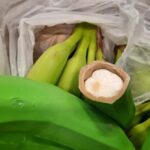 En falsos bananos de fribra hallan cocaína lista para enviar a Europa