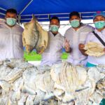 Gran participación en la Feria de Pescado realizada en Yopal