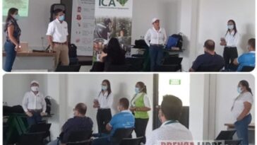 ICA socializa plan de manejo de bioseguridad para cultivos genéticamente modificados en Casanare