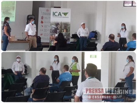 ICA socializa plan de manejo de bioseguridad para cultivos genéticamente modificados en Casanare