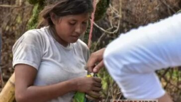 Indígenas Jivi que estuvieron en Yopal permanecen en Arauca