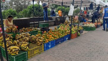 Invitan a comprar productos de buena calidad en la Galería de Manizales