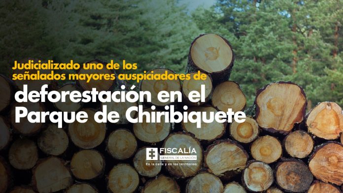 Judicializado uno de los señalados mayores auspiciadores de deforestación en el Parque de Chiribiquete