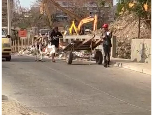 Los  carro e’ muleros que siguen lanzando basuras en la vía pública, en Barranquilla