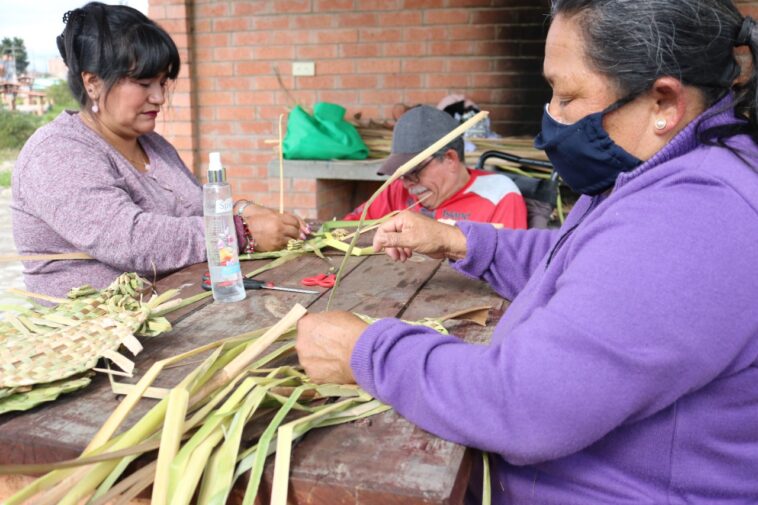 Mujeres y personas con discapacidad fueron capacitadas para tejer planta de enea y decirle NO al uso de la palma de cera