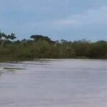 Se desbordó el río Lebrija en Sabana de Torres