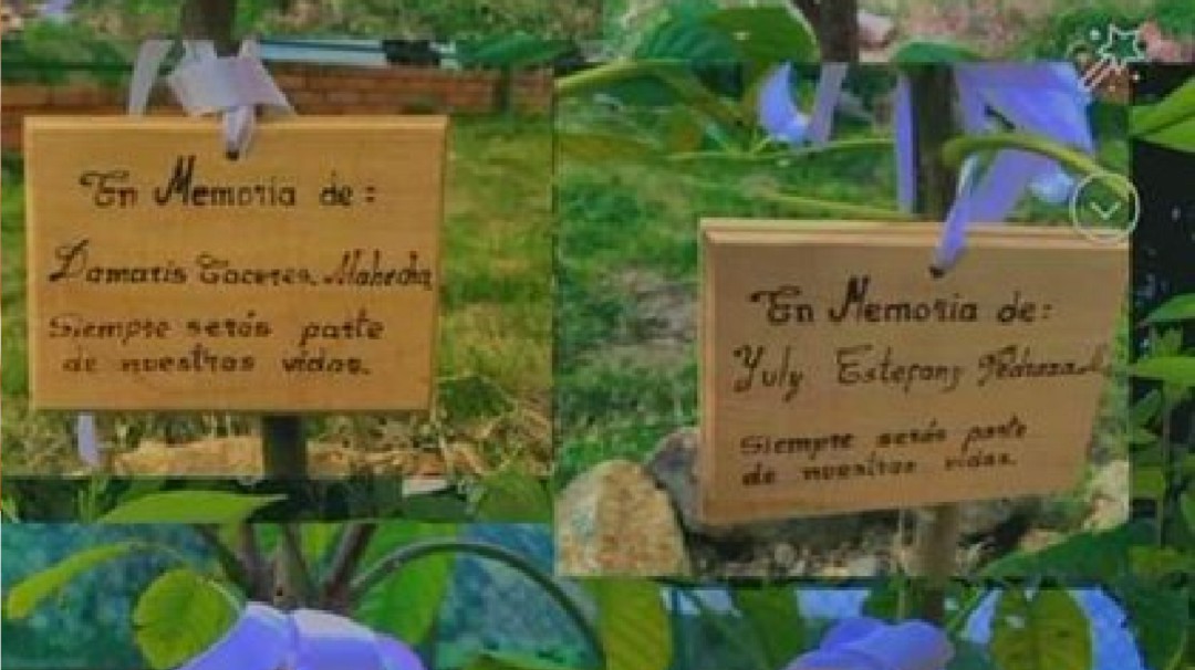 Sembraron árboles en honor a niños muertos en San Andrés