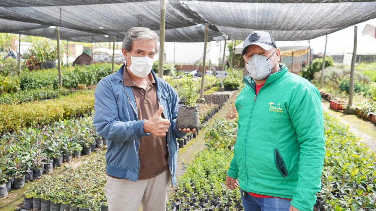 Tenjo, Cundinamarca, lanza campaña que propone cambiar la palma de cera por una planta nativa en Semana Santa