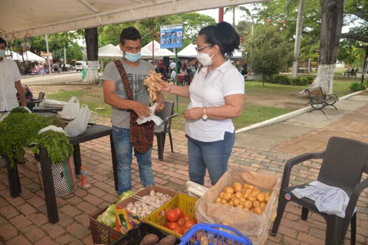 Todo un éxito el segundo gran mercado campesino