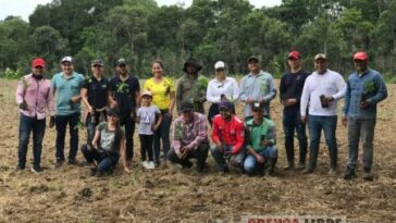270 mil árboles sembró Cormacarena en viveros comunitarios