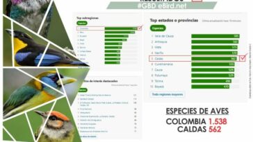 Caldas reportó 562 aves vistas durante el Global Big Day