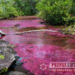 Caño Cristales aún no está abierto al público advirtió Cormacarena