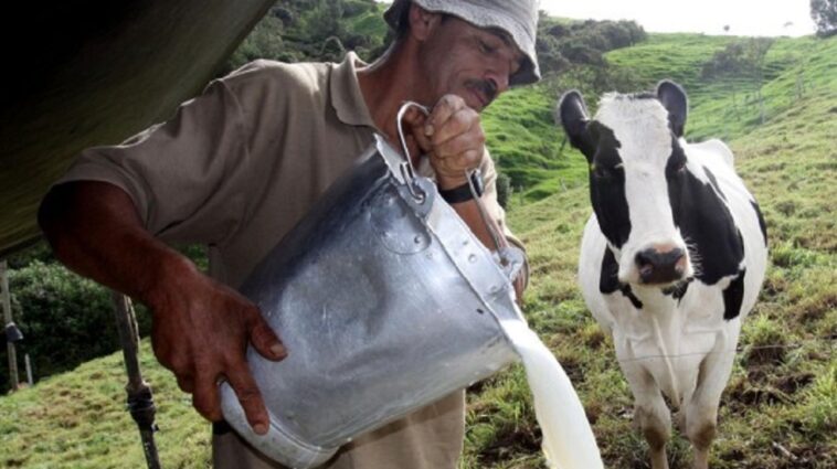 Desechan 2.500 litros de leche por segundo derrumbe en la vía del Cusiana