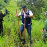 Ejército y autoridades sembraron más de 400 especies nativas en Simití