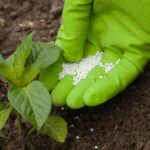 Fertilizantes ‘made in’ Villavicencio, es posible