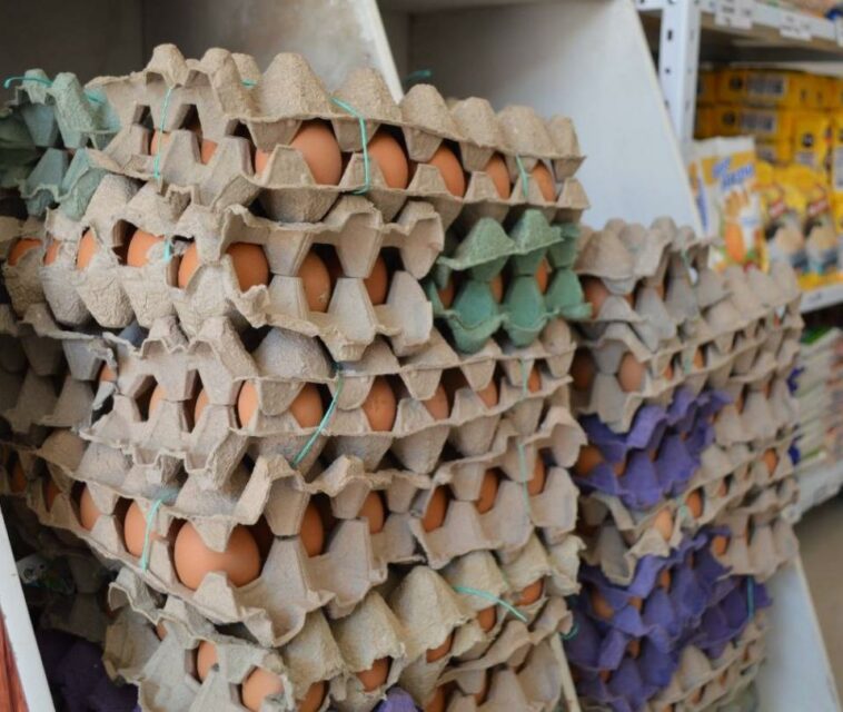 Huevos: tras bloqueos que casi lo acaban, así se repone la producción local