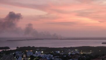 Incendio en Vía Parque Isla Salamanca arrasa con hectáreas de mangle