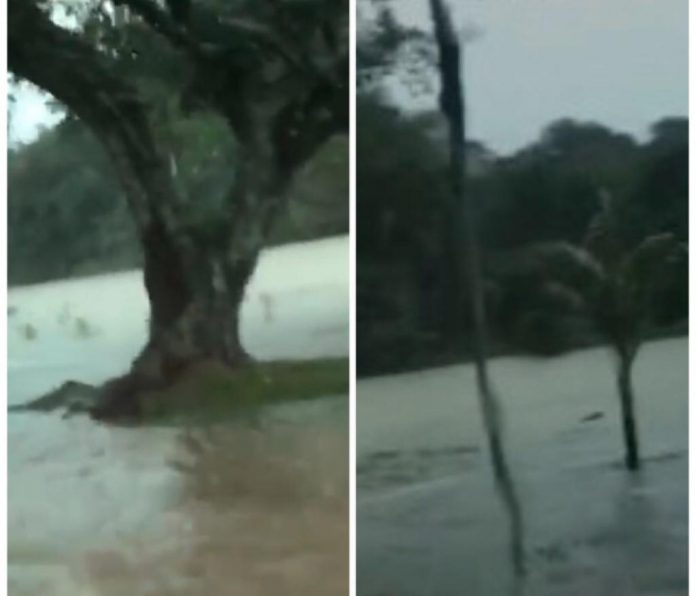 Incluso el lago Babilla en Cali quedó inundado por el fuerte aguacero de este jueves