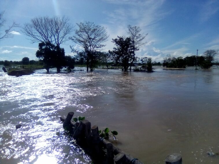 Inundación y contaminación en la Mojana, todo por el oro