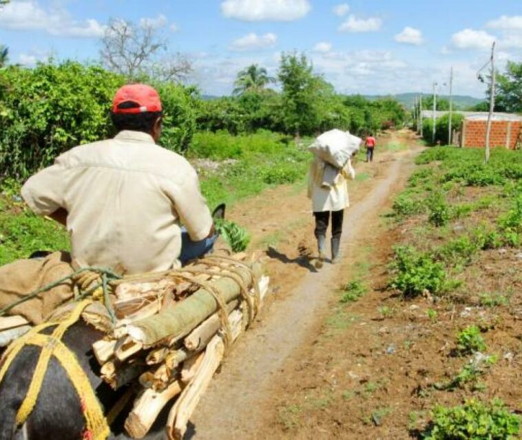 Las tres claves para desarrollar el campo colombiano, según la SAC