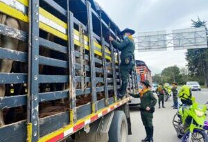 Plan de seguridad en Mosquera