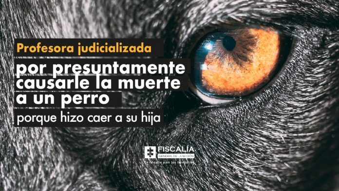 Profesora judicializada por presuntamente causarle la muerte a un perro porque hizo caer a su hija