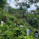 Siembran 2.500 árboles en reserva forestal del municipio de Aracataca