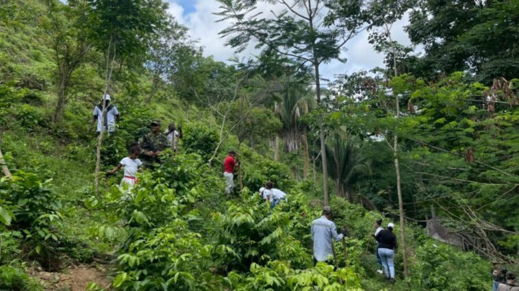 Siembran 2.500 árboles en reserva forestal del municipio de Aracataca