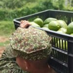 Sucre | Armada de Colombia aporta logística para sacar productos agrícolas en zonas de difícil acceso