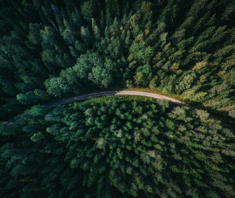 Una nueva solución climática para América Latina