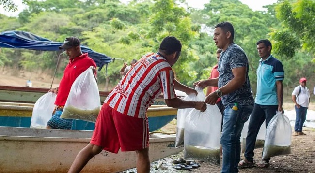  Administración de Plato genera alternativas para potencializar el agro en el municipio